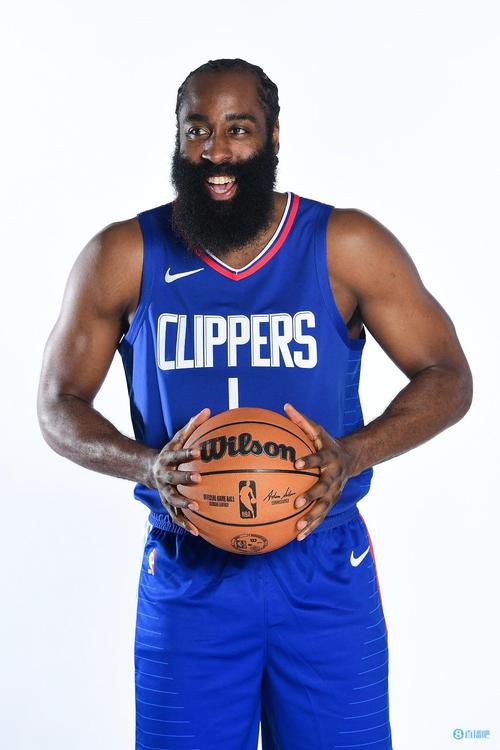 全员离队！NIP官方：辅助选手Niket正式离队（NIP官宣：辅助选手Niket正式离队，阵容全员已离开）